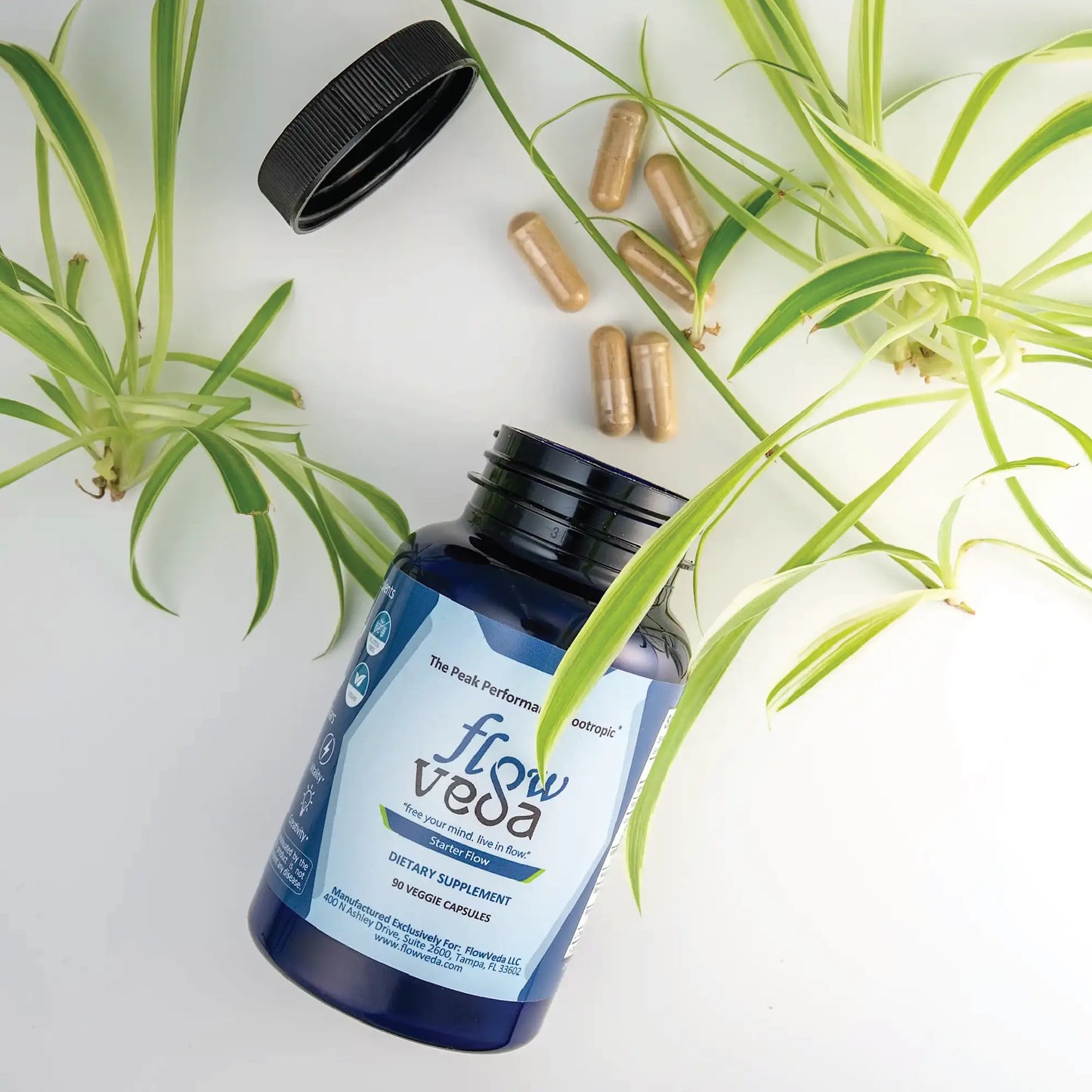 FlowVeda® Starter Kit