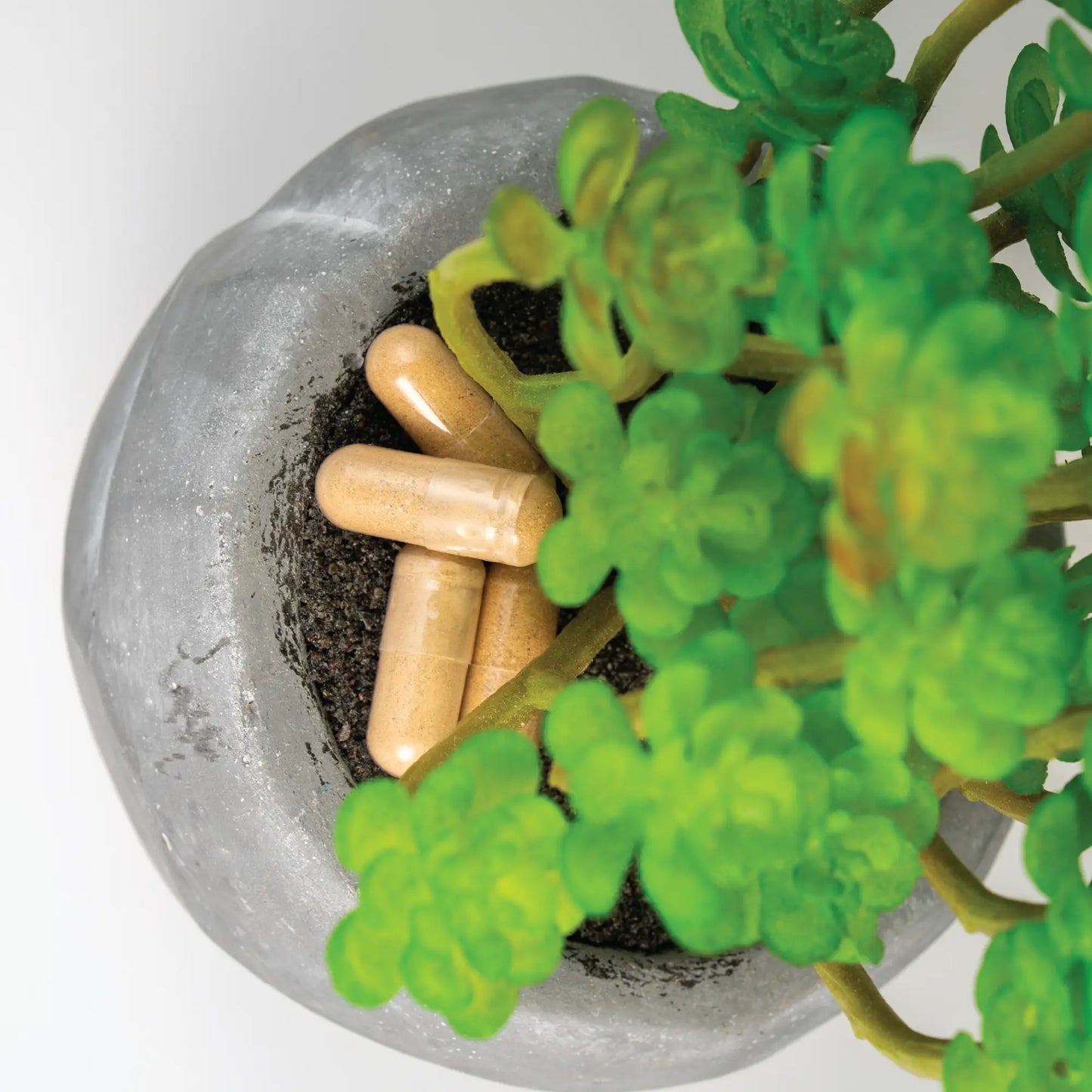 FlowVeda® Starter Kit