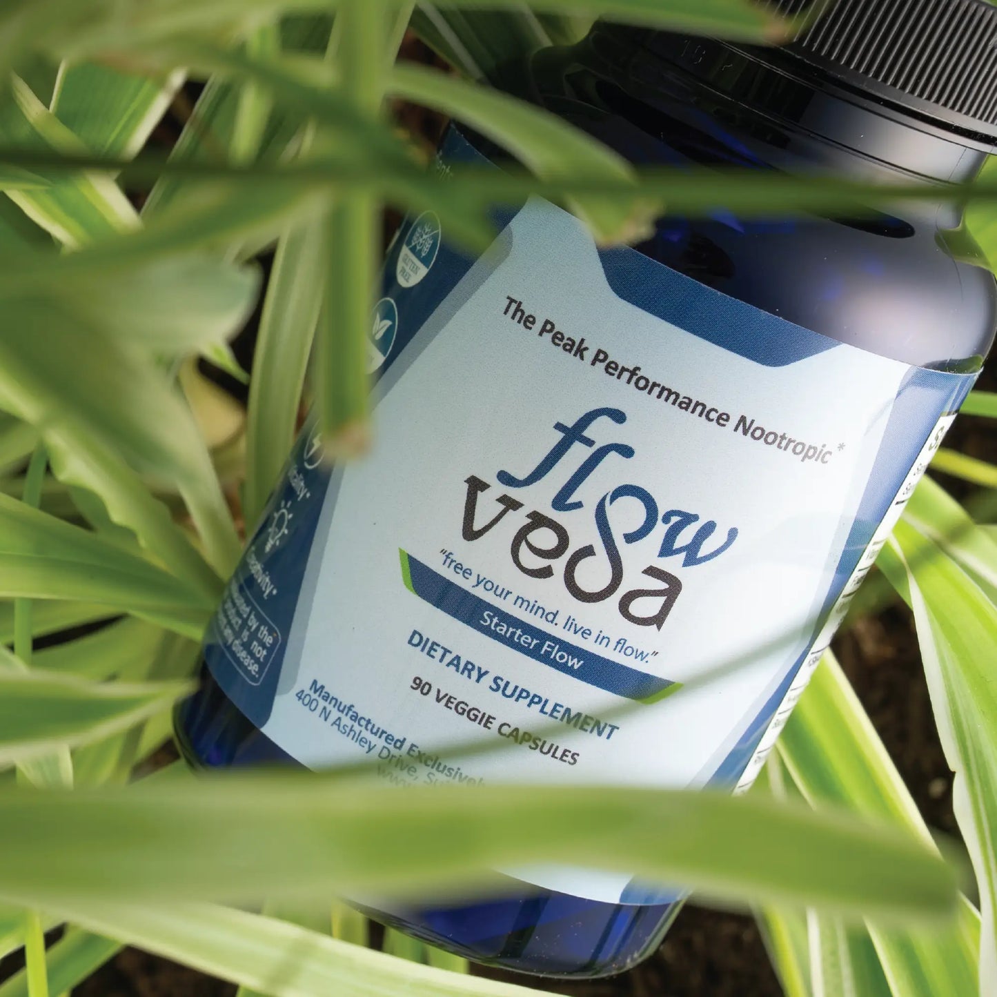 FlowVeda® Starter Kit